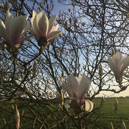 度假居 Groeten Uit - Rural