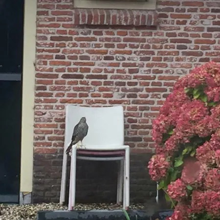 Groeten Uit - Rural *