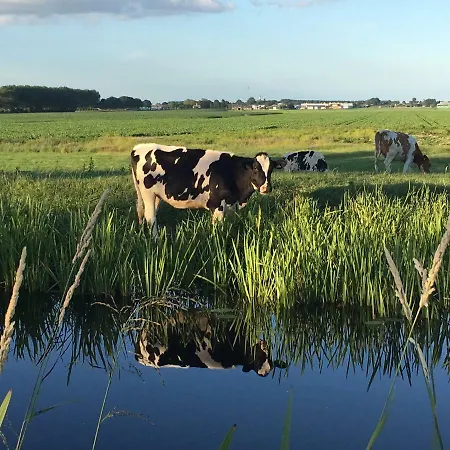 Groeten Uit - Rural * Hoogmade