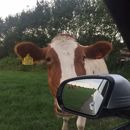 度假居 Groeten Uit - Rural Hoogmade