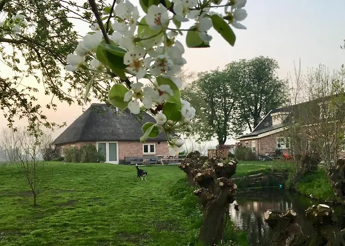 Dom wakacyjny Groeten Uit - Rural