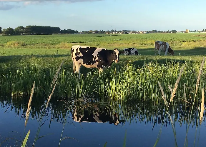 Groeten Uit - Rural * Hoogmade